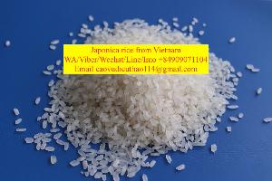 Vietnam japonica riz rice for middle east market with competitive price