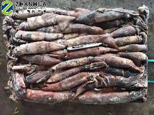 Frozen Black Squid