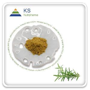  Rosemary  Leaf  Extract 