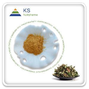 Gotu Kola Extract