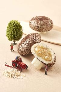 Oatmeal mushroom bun