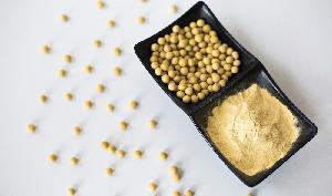 HVP POWDER ORIGINAL FLAVOR Hydrolyzed Soya Protein Isolate HVP liquid powder Manufacturer
