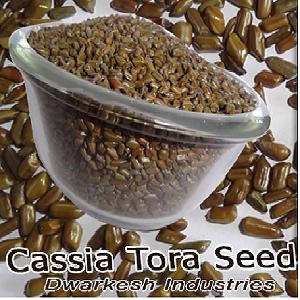 cassia tora seed