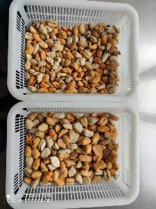 Mussels China peeled