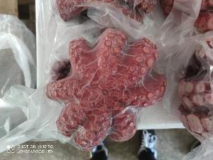 Giant  Octopus   Frozen   boiled   octopus  with head