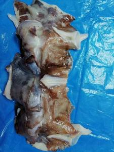 Seafrozen Hotsale Giant Squid Neck
