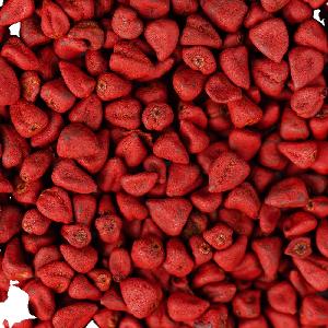 Supply Annatto  Pigment  Red Achiote Annatto Seed With Best Price  Natural  Annatto  Colorant s Seeds