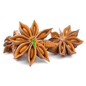 BEST PRICE FROM VIETNAM NATURAL STAR ANISE / STAR ANISEED / STAR ANISE SEED (+84915211469)