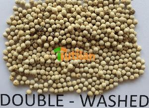 BEST SALE FROM FACTORY FOR LOWEST PRICE AND HIGH QUALITY WHITE PEPPER (+84915211469)