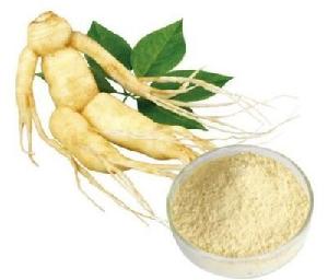 High Quality Pure Natural Ginseng Extract Ginsenoside 10%~80% UV