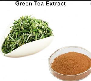 Hot Sale Plant Extract Organic Green Tea P.E. EGCG Powder cas:989-51-5