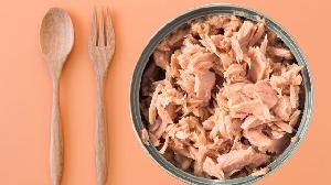 High Quality Canned Food Tuna Fish in Brine Available For Sale at Cheap Price