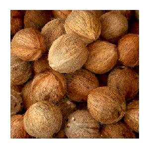 Best Price Semi  Husked  Coconut Available In Bulk At Wholesale Price
