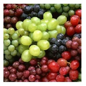 Top Quality Fresh Fruit Grapes at Low Price