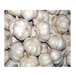 Hot Sale Price Of Fresh Vegetables Garlic In Bulk Stock