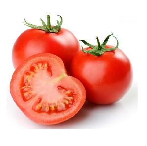 Wholesale Supplier Of Fresh Tomatoes At Cheap Price