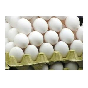 Wholesale Supplier Of Fresh Chicken Eggs At Cheap Price
