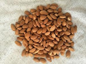 Direct Selling Delicious Full of Nutrition Pure Natural Almonds Kernel