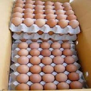 Farm  Fresh   Chicken  Table  Eggs  Brown and  White  Shell  Chicken   Eggs 
