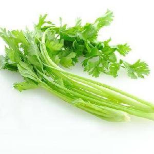 Lowest Price Export Natural Organic Chinese High Quality Fresh  Green  Celery