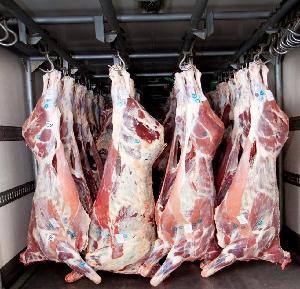Fresh lamp frozen meat beef ,cow meat all parts