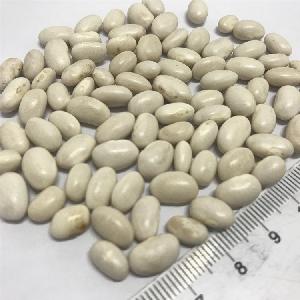 Original dried white kidney beans for sale