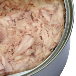 Frozen Canned Tuna Fish Exporters