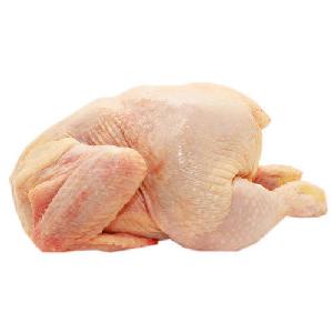Hot selling Frozen Whole chicken
