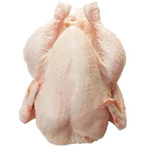 Hot selling Frozen Chicken in exportable price