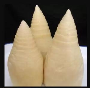 Newest crop canned bamboo shoot whole