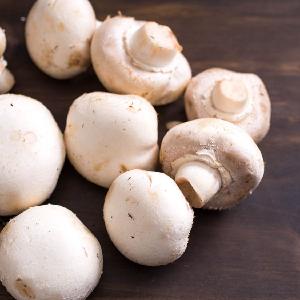 Canned fresh whole  champignon   mushroom 