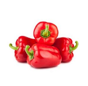 High Quality Dehydrated Organic Dried Red Bell Pepper
