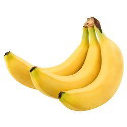 Buy Fresh Raw plantain Banana for sale
