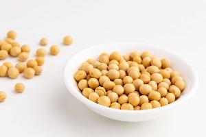 Top Quality Choice Soybeans Cheap Price Soya Beans Best Selling Soy Bean