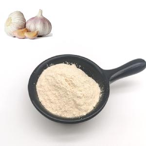 Wholesale Garlic Powder Low Price GMP Standard Allicin Garlic  Extract  100% Pure Garlic  Extract 