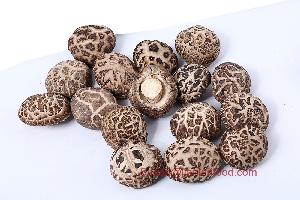  dried   shiitake   mushroom 