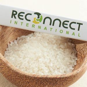 504  Broken   Rice   Price  ODE/OEM Delicious Food  Rice 