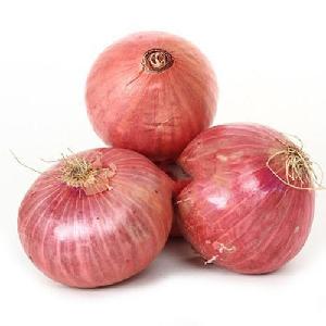 red onion for sale