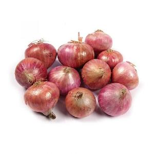 Onion IQF Frozen Vegetable Best-selling 5-7cm Fresh Red Onion With Good Quality