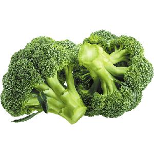 Frozen vegetable factory wholesale China broccoli frozen iqf broccoli