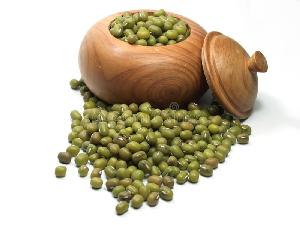 Good Quality High Grade Dried Style Delicious Green Mung Bean For Selling