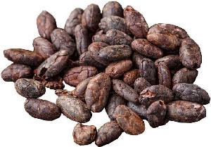 dried fermented cocoa beans for sale