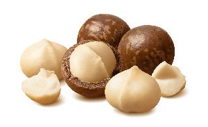 bulk macadamia nuts for sale