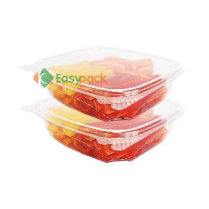 Disposable Container KG Plast has latest facility to produce thermoformed  food packaging disposable i…