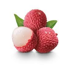Luc Ngan Fresh Lychee From Vietnam with High Quality (HuuNghi Fruit)