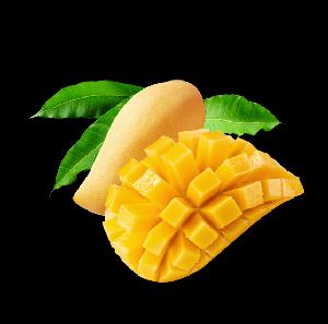 Fresh Cat Chu Mango with High Quality, Stable Supply, Competitive Price From Vietna (HuuNghi Fruit)