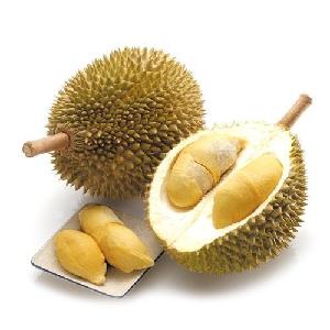 Fresh Musang King D197 Durian - High Quality, Competitive Price, Stable Supply (HuuNghi Fruit)