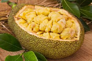 Fresh To Nu Jackfruit From Vietnam Good for Health Sells with Competitive Price (HuuNghi Fruit)