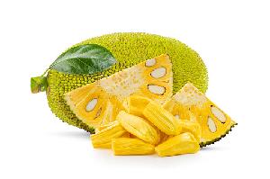 Fresh Mat Jackfruit From Vietnam Good for Health Sells with Competitive Price (HuuNghi Fruit)