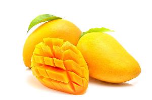 Fresh Cat Chu Mango From Vietnam - High Quality, Stable Supply, Competitive Price (HuuNghi Fruit)